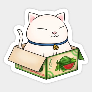 White Chubby Cat in Watermelon Box Sticker